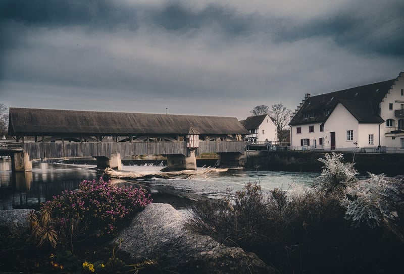 Medieval Village